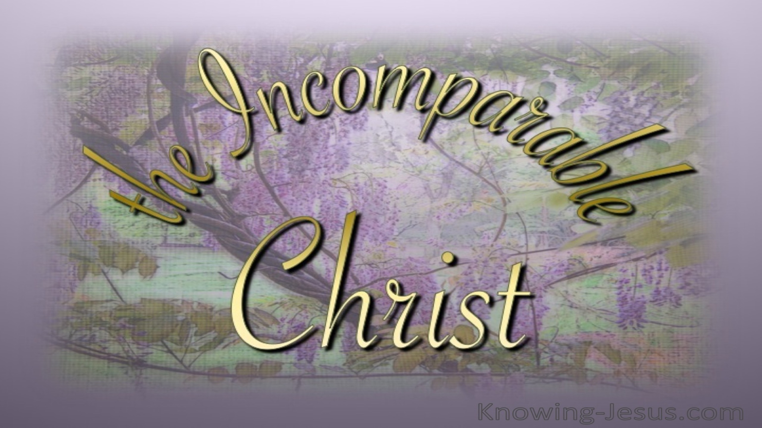 The Incomparable Christ (devotional)10-17 (pink)